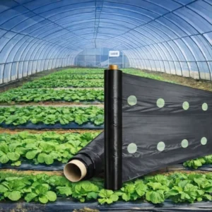 100% Polypropylene Biodegradable Blow Molding Mulch Film for Weeding Prevention Soil Moisture Agriculture