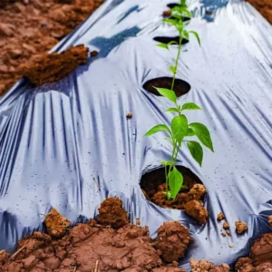 Anti Grass PE PO Blow Molding Plastic Mulch Film for Crop Strawberry Farm