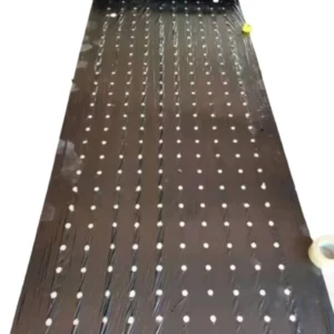 Anti Root Perforated Agricultural Plastic Mulch Film Roll Blow Molding UV Resistant Soil Warming for Orchard Planting