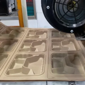 Biodegradable Food Packaging Container Making Machine Biodegradable Plastic Food Box Thermoforming Machine