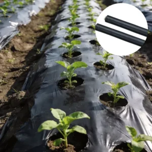 Black Pre Punched Biodegradable Agricultural Mulch Film with Blow Molding for Weeding Control and Ground Cover Roll