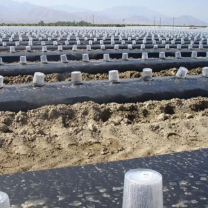 Black Silver Agriculture Mulch Film