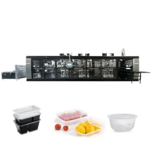 Custom Automatic PP PVC Plastic Thermoforming Machine for Clear Fruit Packing Punnet Disposable Plastic Food Container