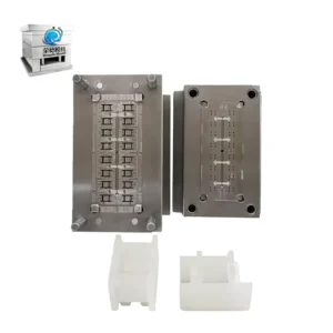 Custom Plastic Injection Mold