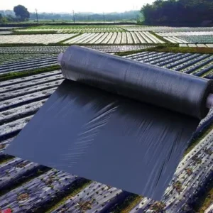 Factory Mulching Film Agricultural Plastic Black Plastic Mulch Film for Agricultural Blow Molding Mulching Paper