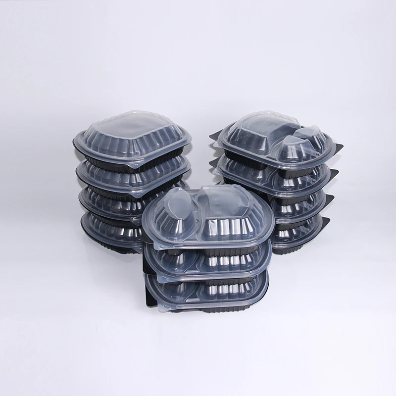 Food Container Blister Packaging Container Storage Box Plastic Container Cake Storage Container
