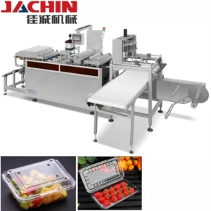 Food Container Thermoforming Machine Plastic Transparent Fruit Clamshell Box Making Machine for Food Fruit Biscuit Sandwich