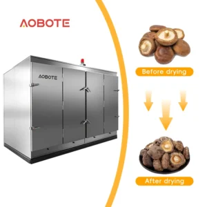 Fully Automatic Large Mushroom Heat Pump Dryer Commercial Fungus Processing