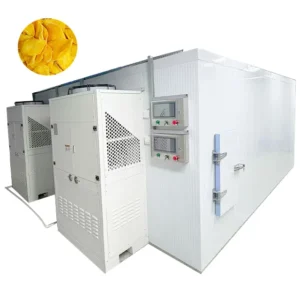 Industrial Commercial Food Dehydrator Vegetable Fruit Drying Machine Fruit Dryer Supplier