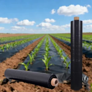 LDPE Agricultural Perforated Black Mulch Film with Long Service Life Customized Thickness Moulding Processing
