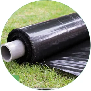 LDPE Blow Molding Agricultural Mulching Film 20micron Black UV Treated Punch Hole for Blueberry Use