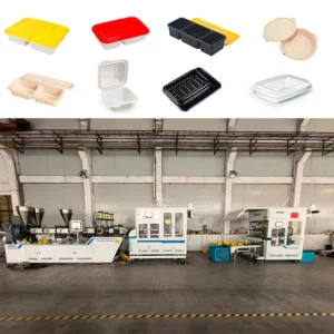 Labor saving Fully Automatic One step Thermoforming Machine for PP Food Tray Eco friendly Lunch Boxes Are Available on Campus