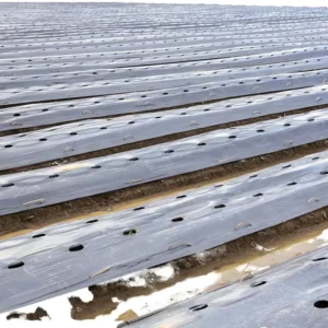 Manufacturer’s Agricultural Weeding Ground Cover PE Blowing Film Roll Black and White Plastic Mulch Custom Cut Moulded