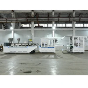 New Technology Takeaway Clamshell PP PE PS Food Container Making One Step Thermoforming Machine Line