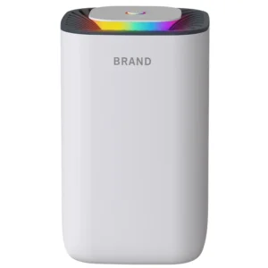 OEM Plug Electric Ultra Quiet Smart Portable Closet Air Dryer Small Mini Household Room Indoor Desktop Dehumidifier Manufacturer