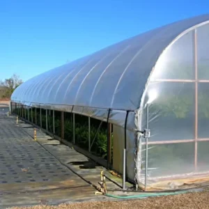 PE Agricultural Mulch Film Flexible Blow Molding 150mic Anti UV Transparent Waterproof Greenhouse Tunnel Cover Cutting