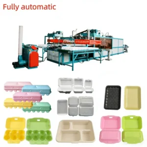 PS Foam Fast Food Box Production Line Disposable Styrofoam Container Egg Tray Making Machine