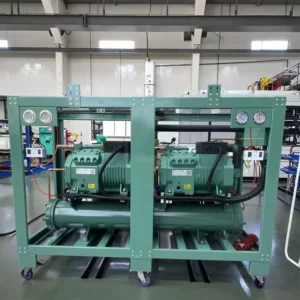 Sealed Chiller for Food Factory 8HP Water Cooled Industrial Non Standard Plastic Injection Molding Chiller Condensing Unit