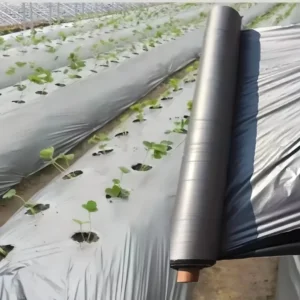 Silver Shine Plastic Mulch Films Large Size Double Layer Factory Direct Sales PE Material