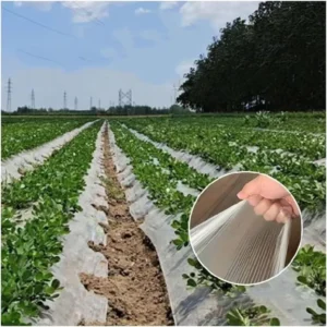 Soft Flexible Heavy Duty Agricultural Plastic Mulch Film Custom Length Crop Planting Garden Cover Compost Blow Molding